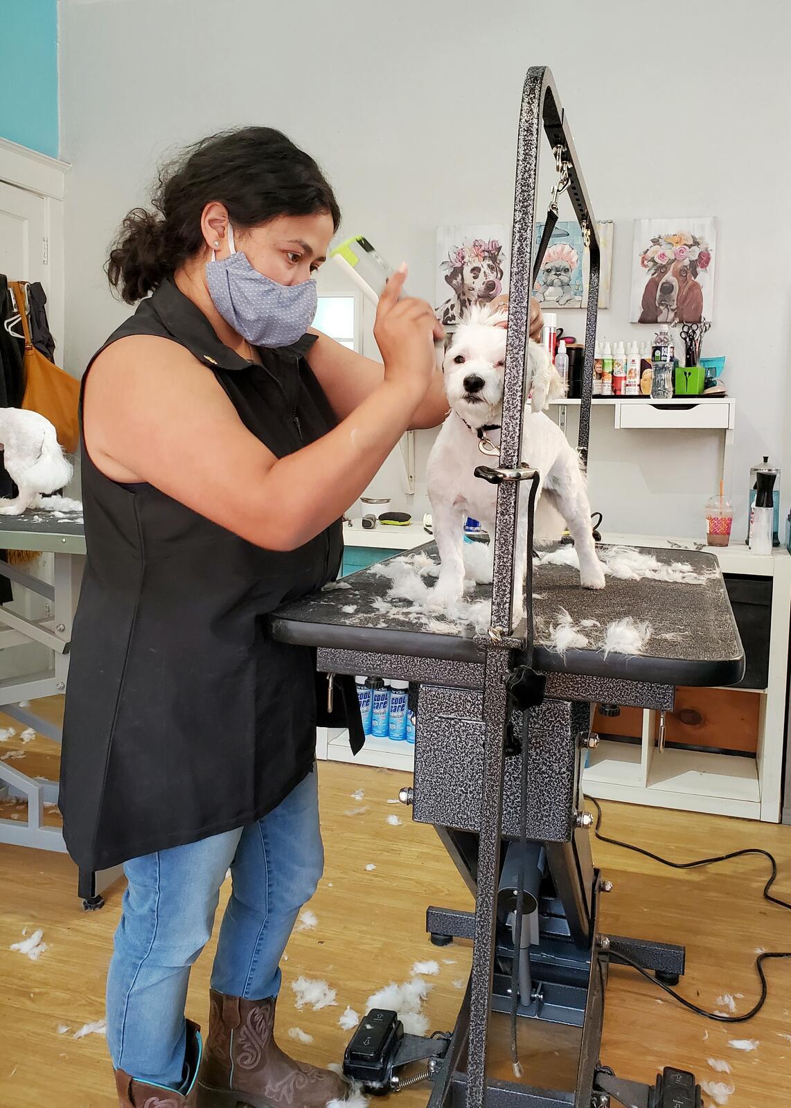 Photo credit: nextdoor