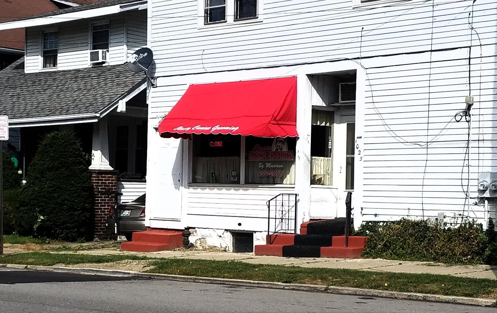 Classy Canine Grooming by Maureen Erie