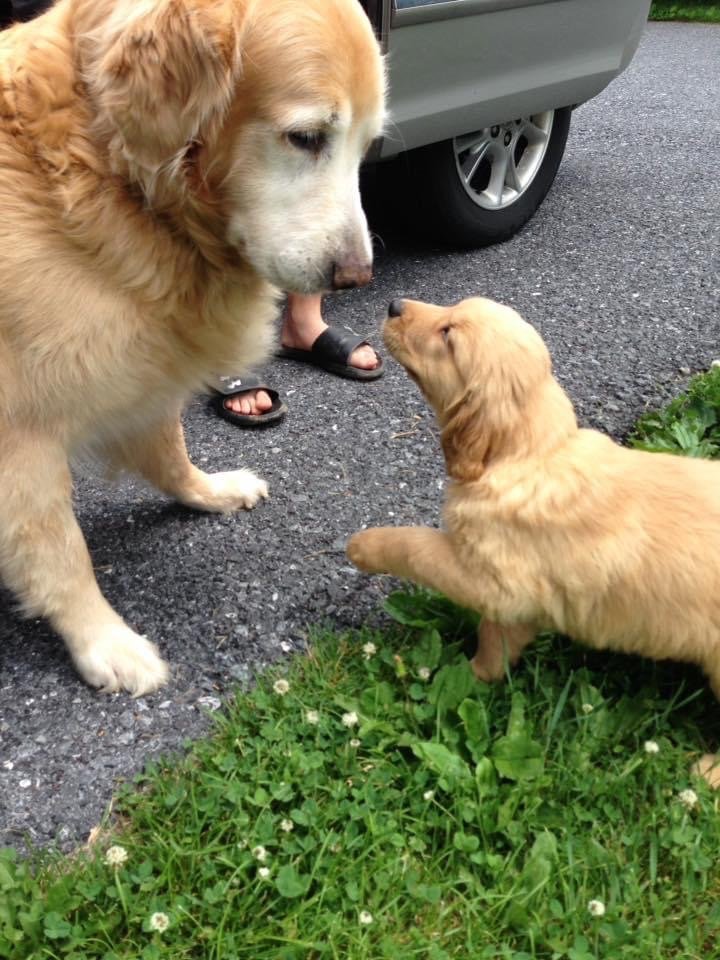 Photo credit: 