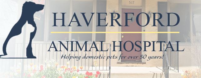 Haverford Animal Hospital