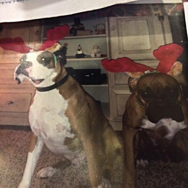 Photo credit: nextdoor