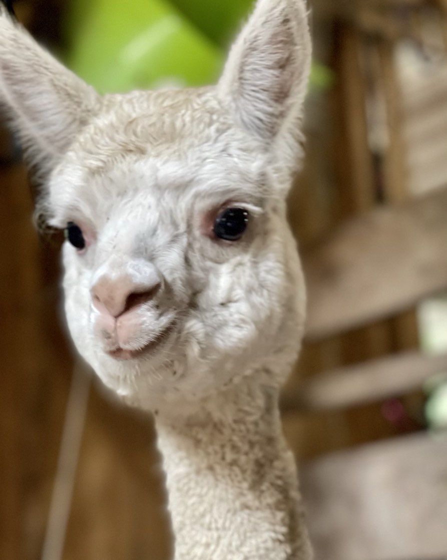 Photo credit: instagram