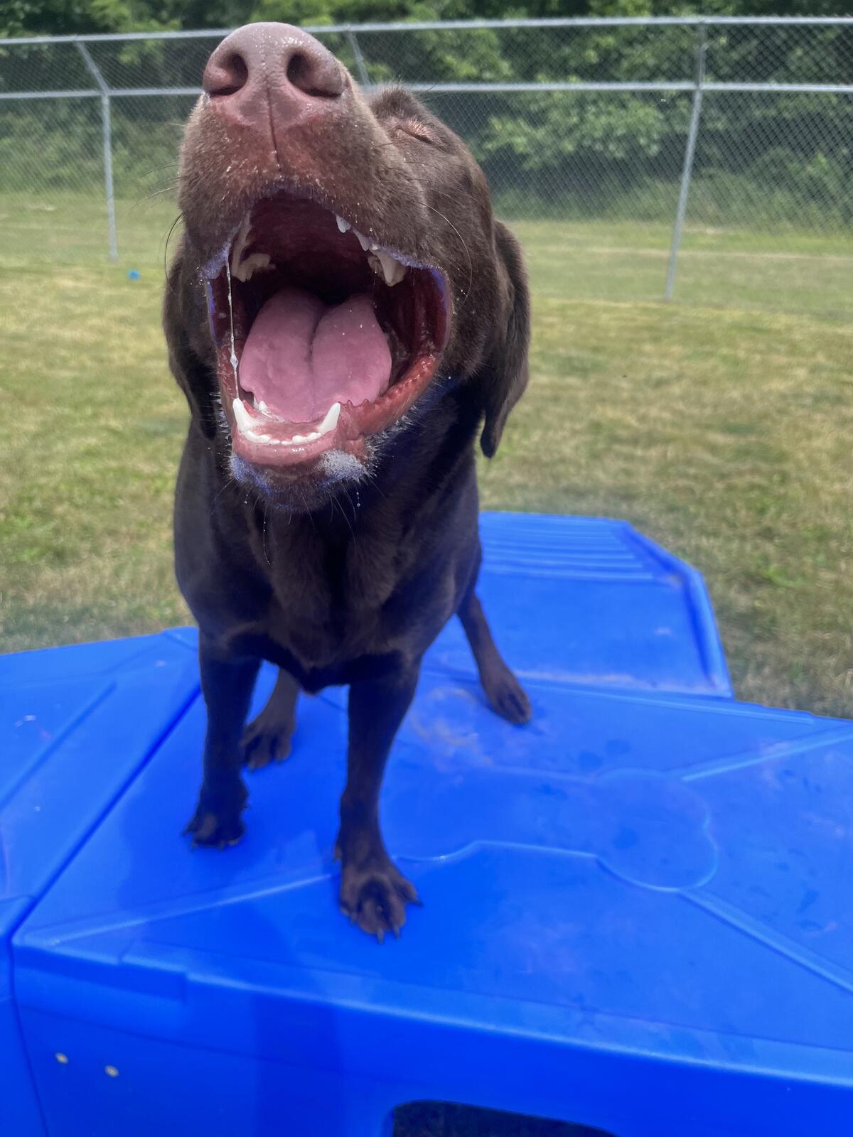 Photo credit: nextdoor