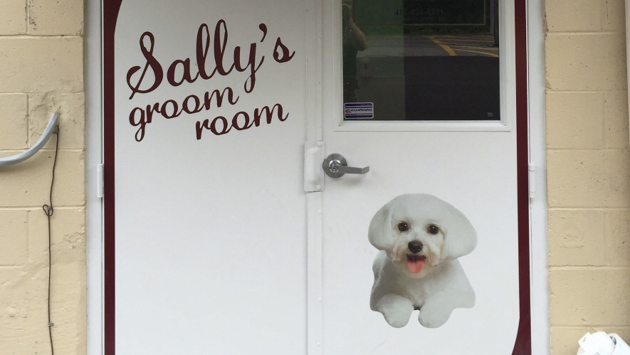 Sally's Groom Room