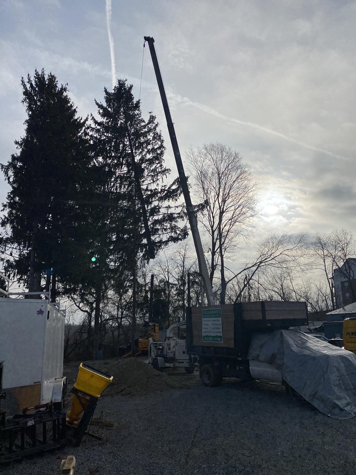 Photo credit: nextdoor