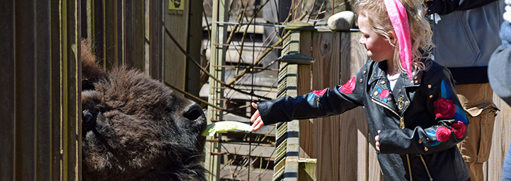 Elmwood Park Zoo 1661 Harding Blvd, Norristown