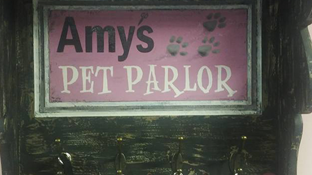 Amys Pet Parlor