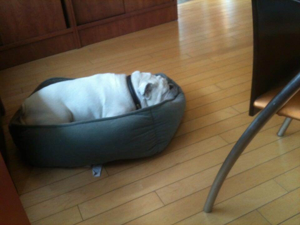 Photo credit: nextdoor