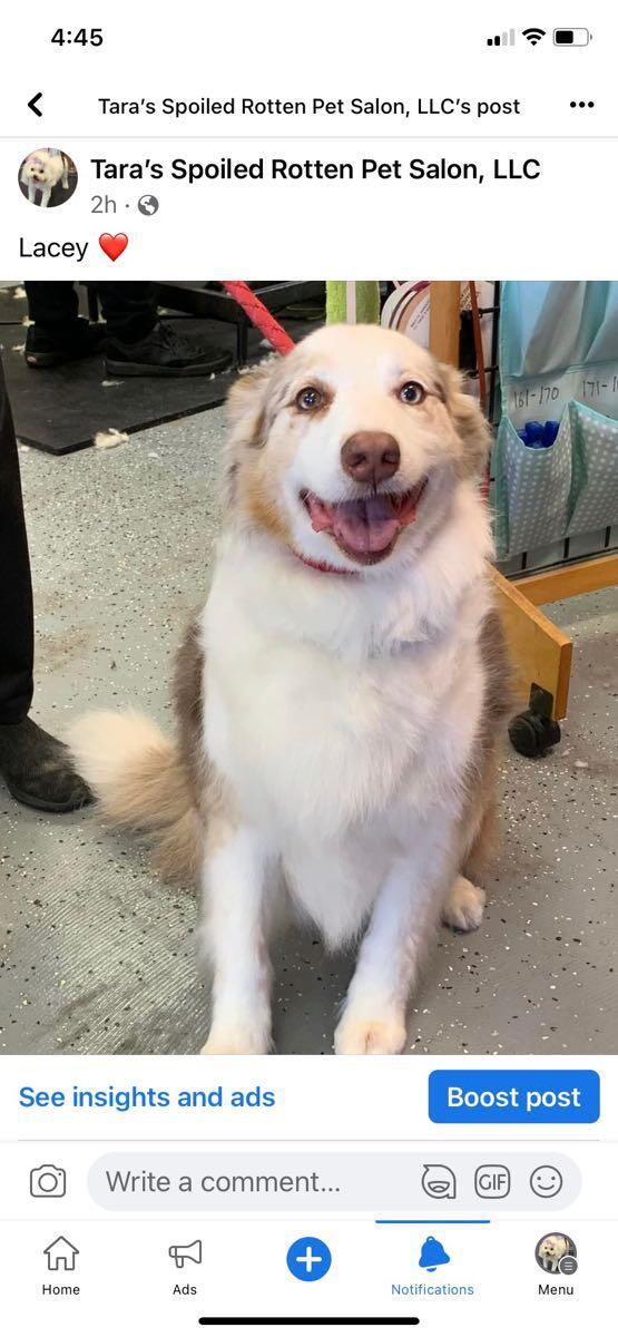 Photo credit: nextdoor