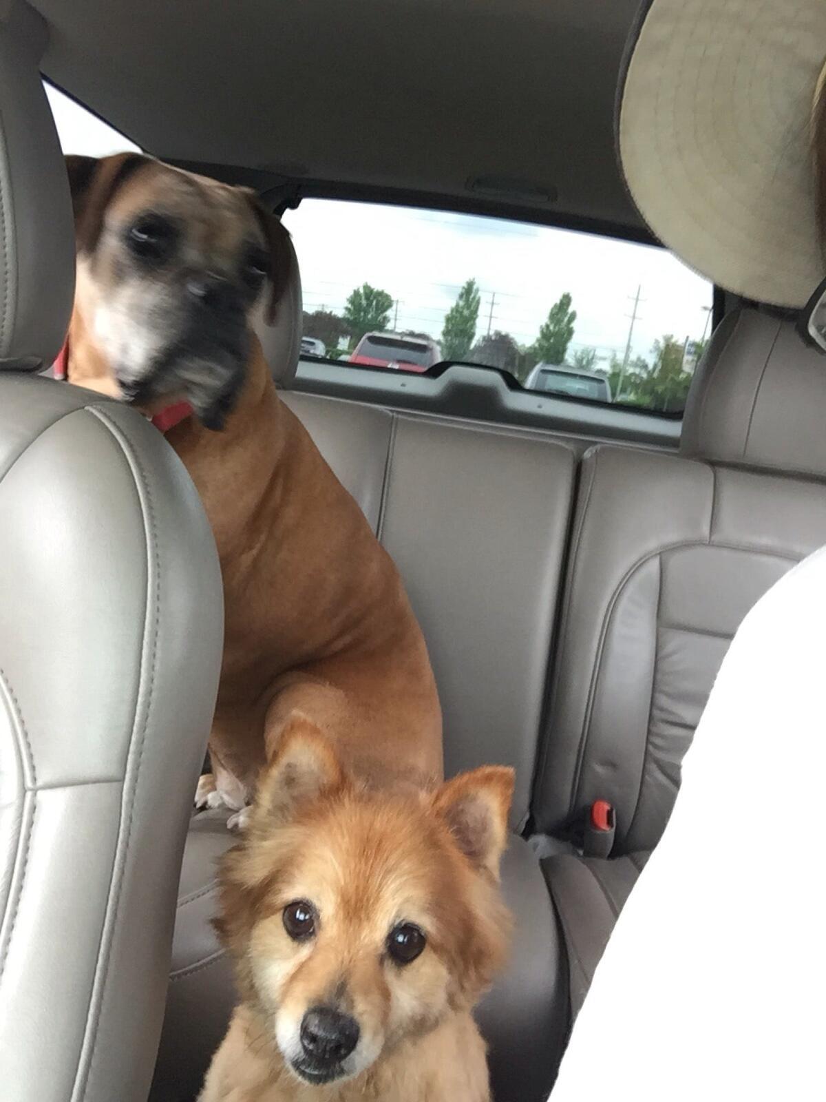 Photo credit: nextdoor