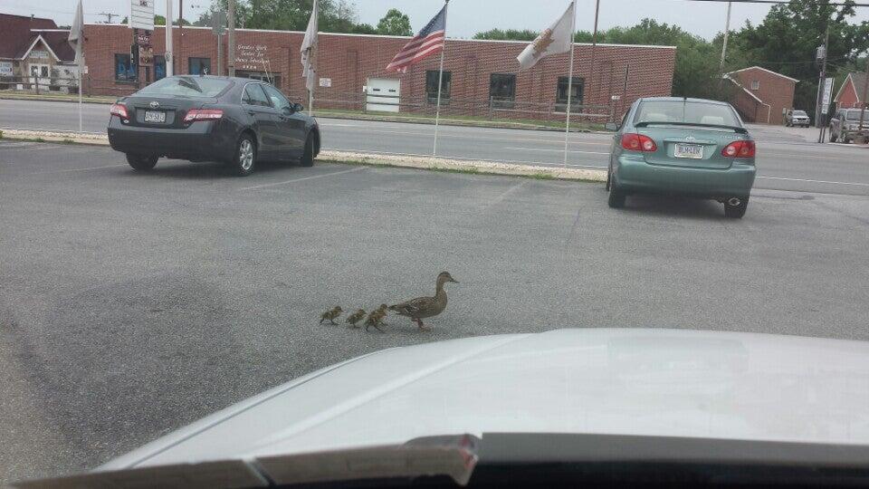 Photo credit: nextdoor