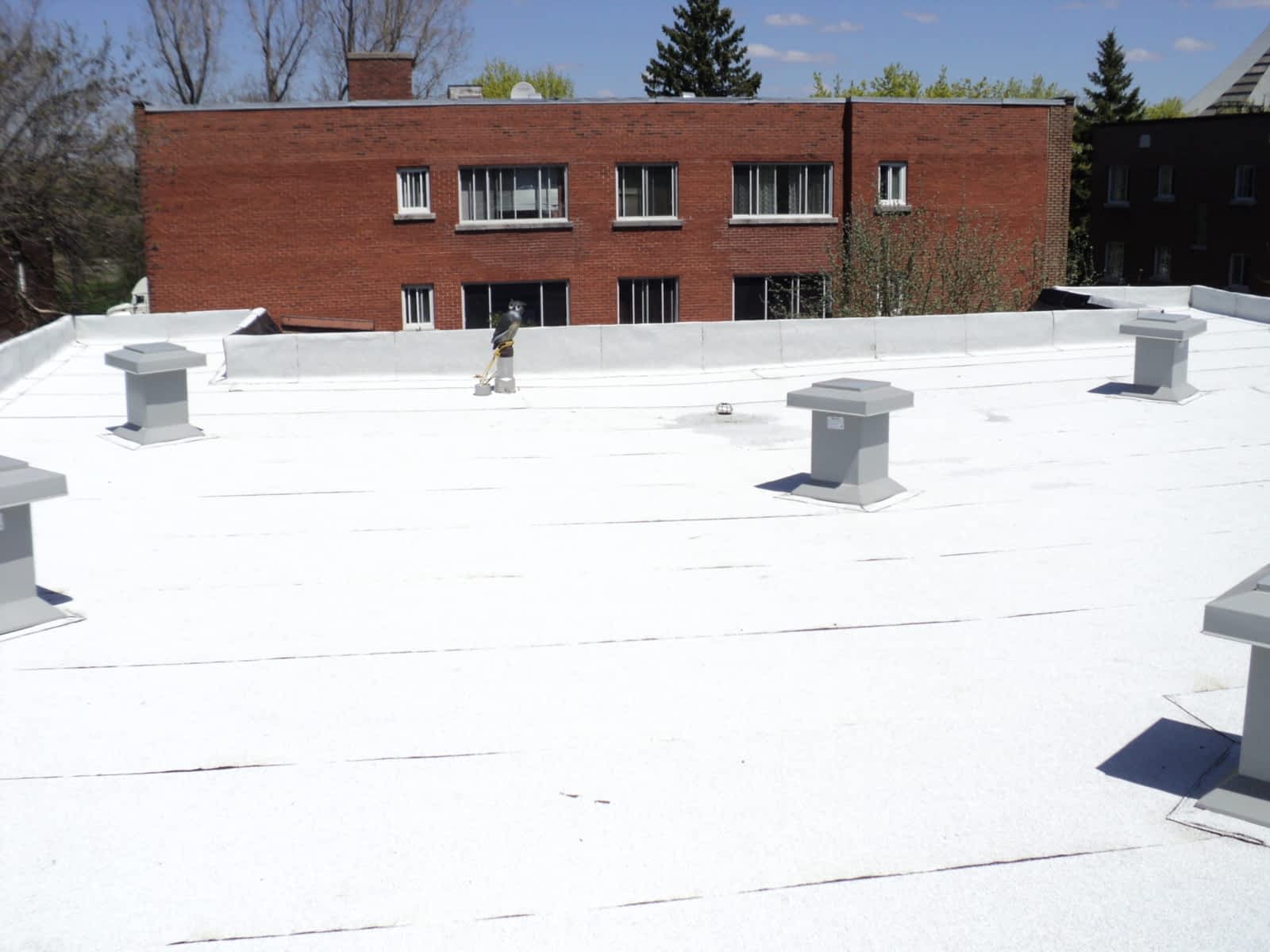 Photo credit: yellowpages.ca