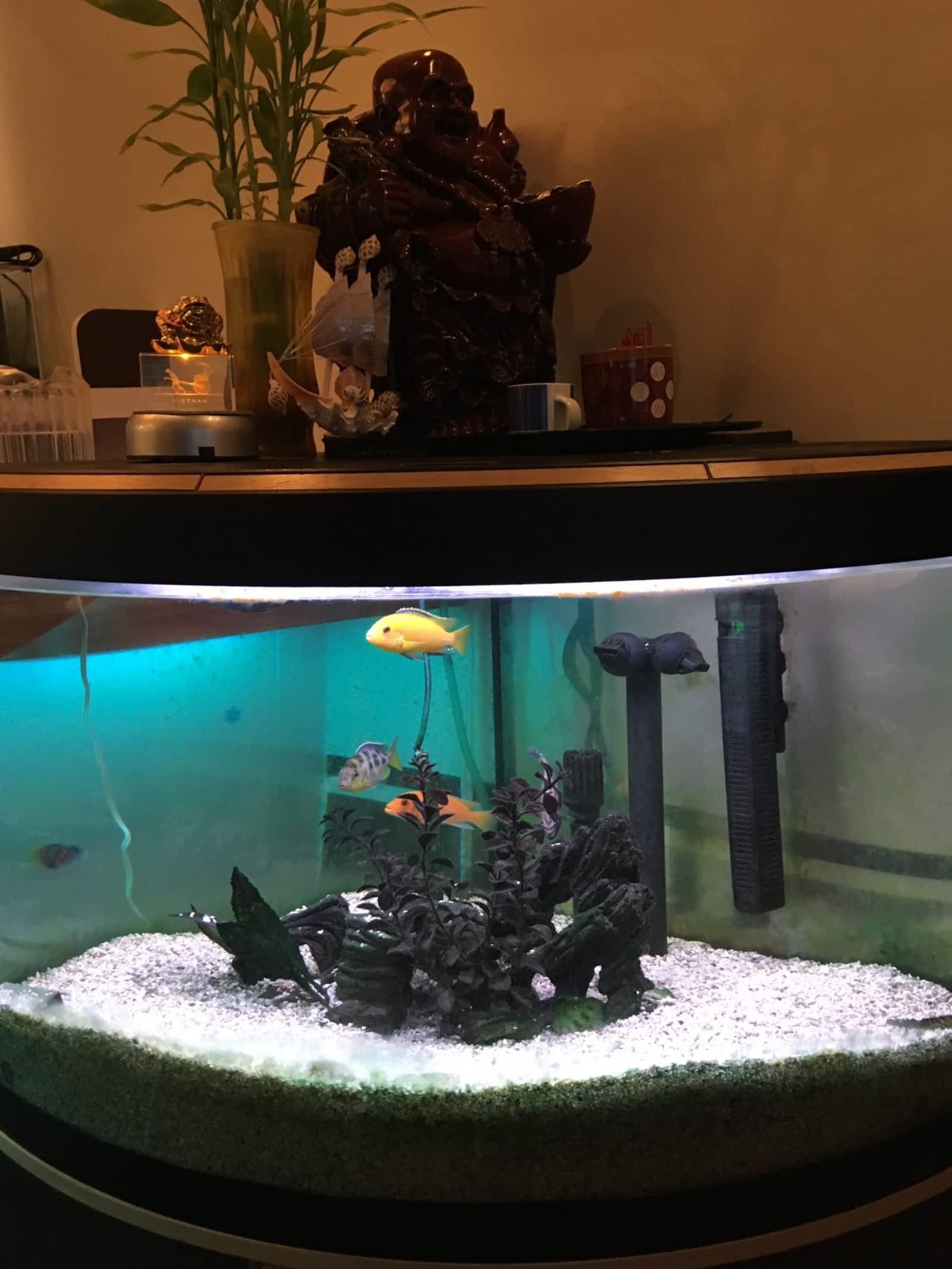 Photo credit: yellowpages.ca