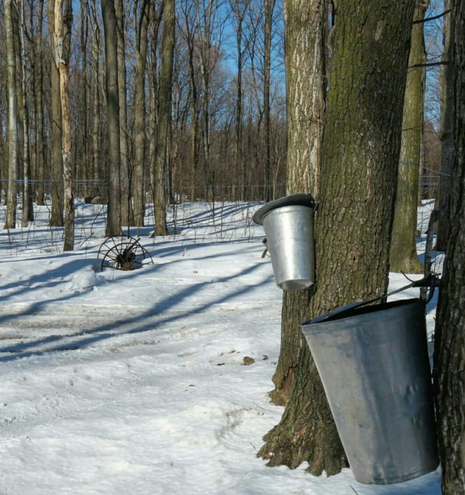 Photo credit: yellowpages.ca