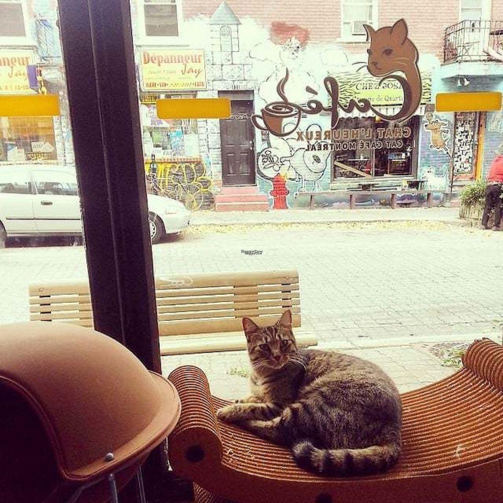 Photo credit: happycow
