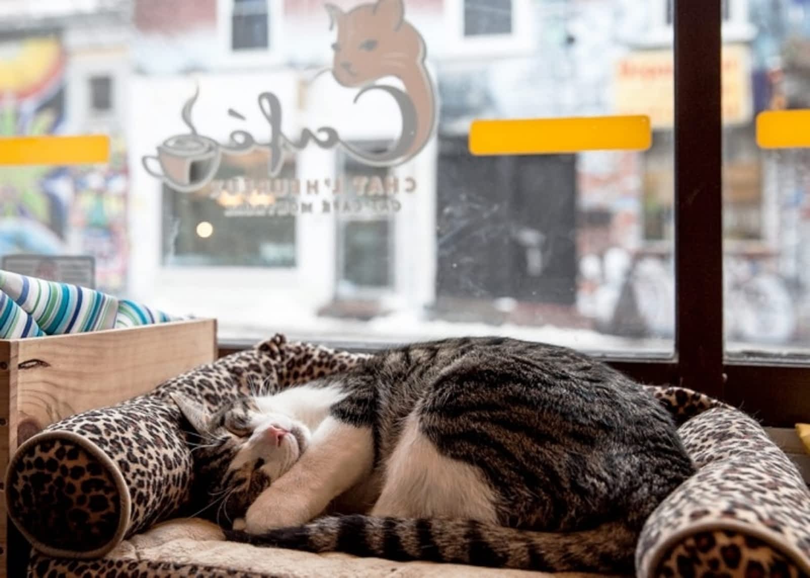 Photo credit: yellowpages.ca