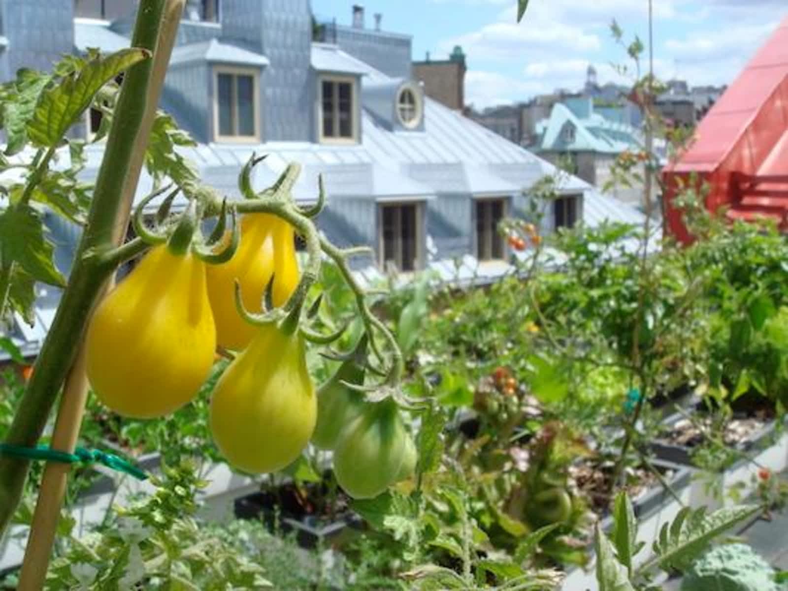 Photo credit: yellowpages.ca