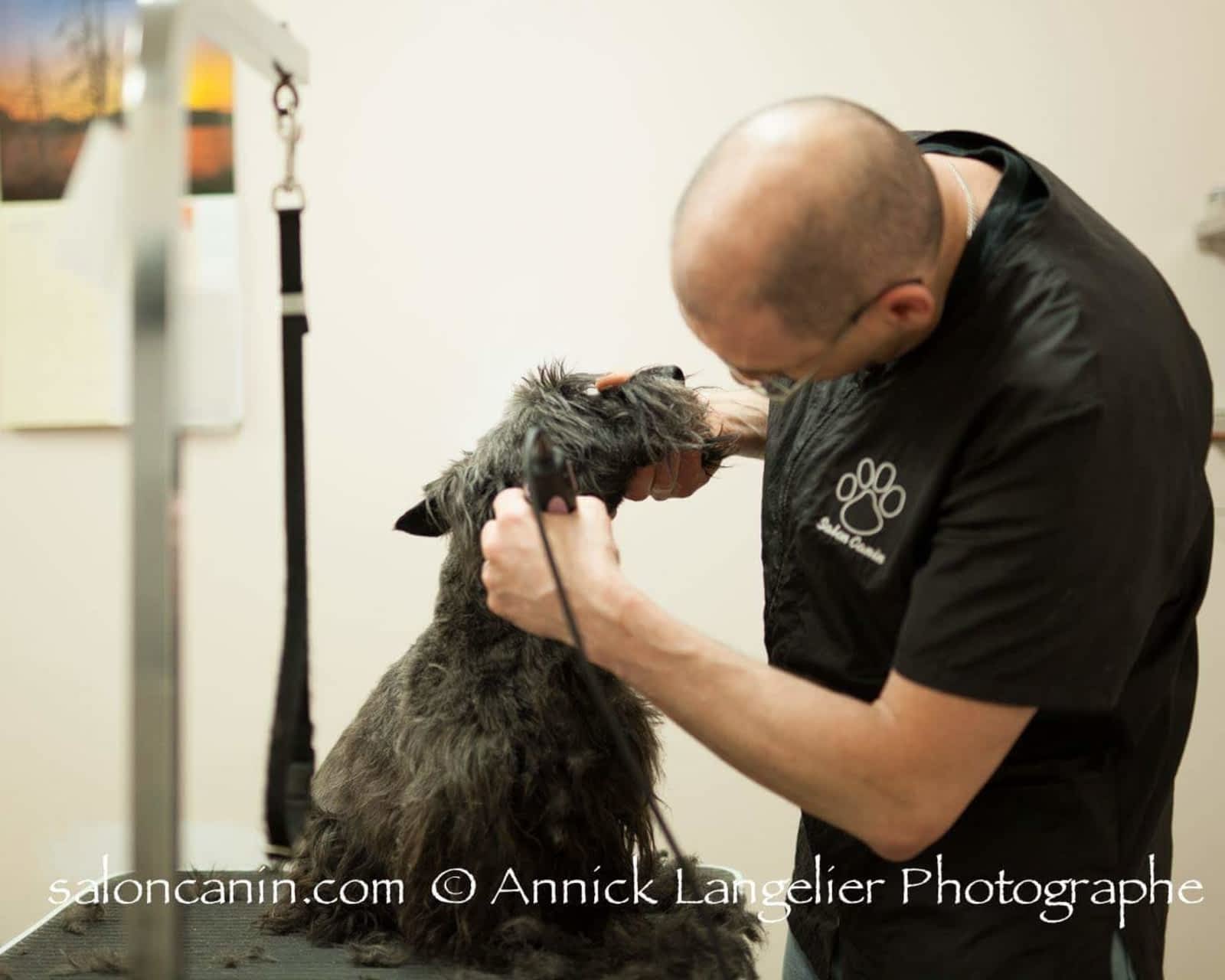 Photo credit: yellowpages.ca