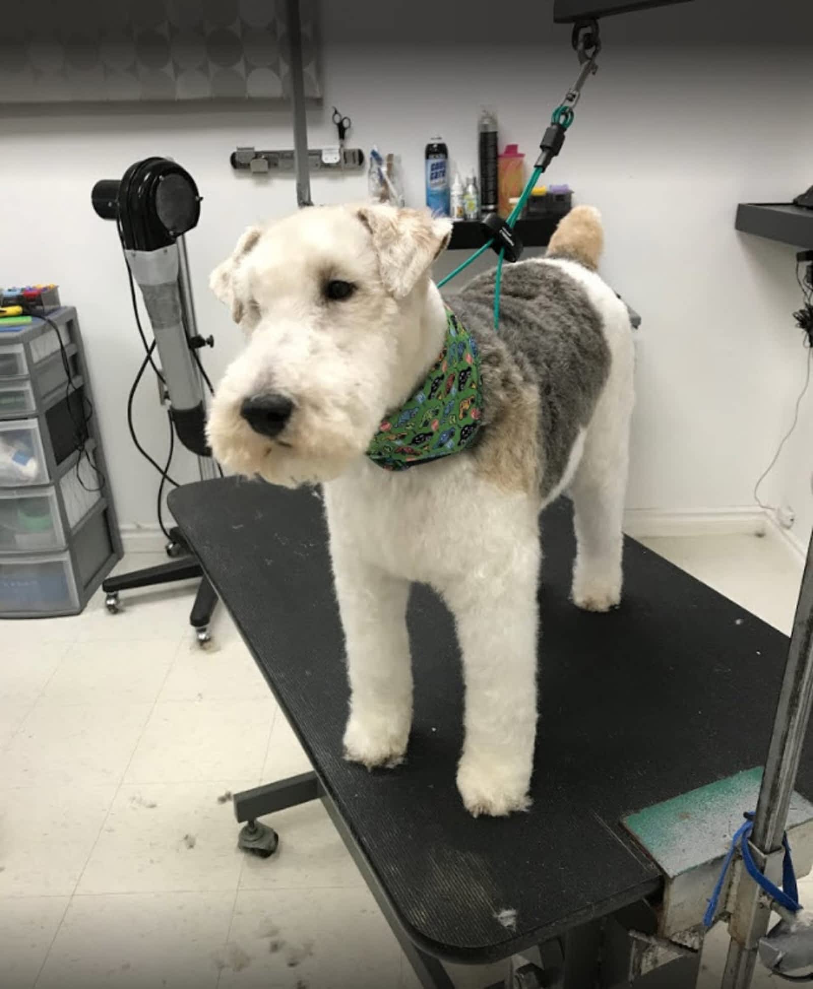 Photo credit: yellowpages.ca