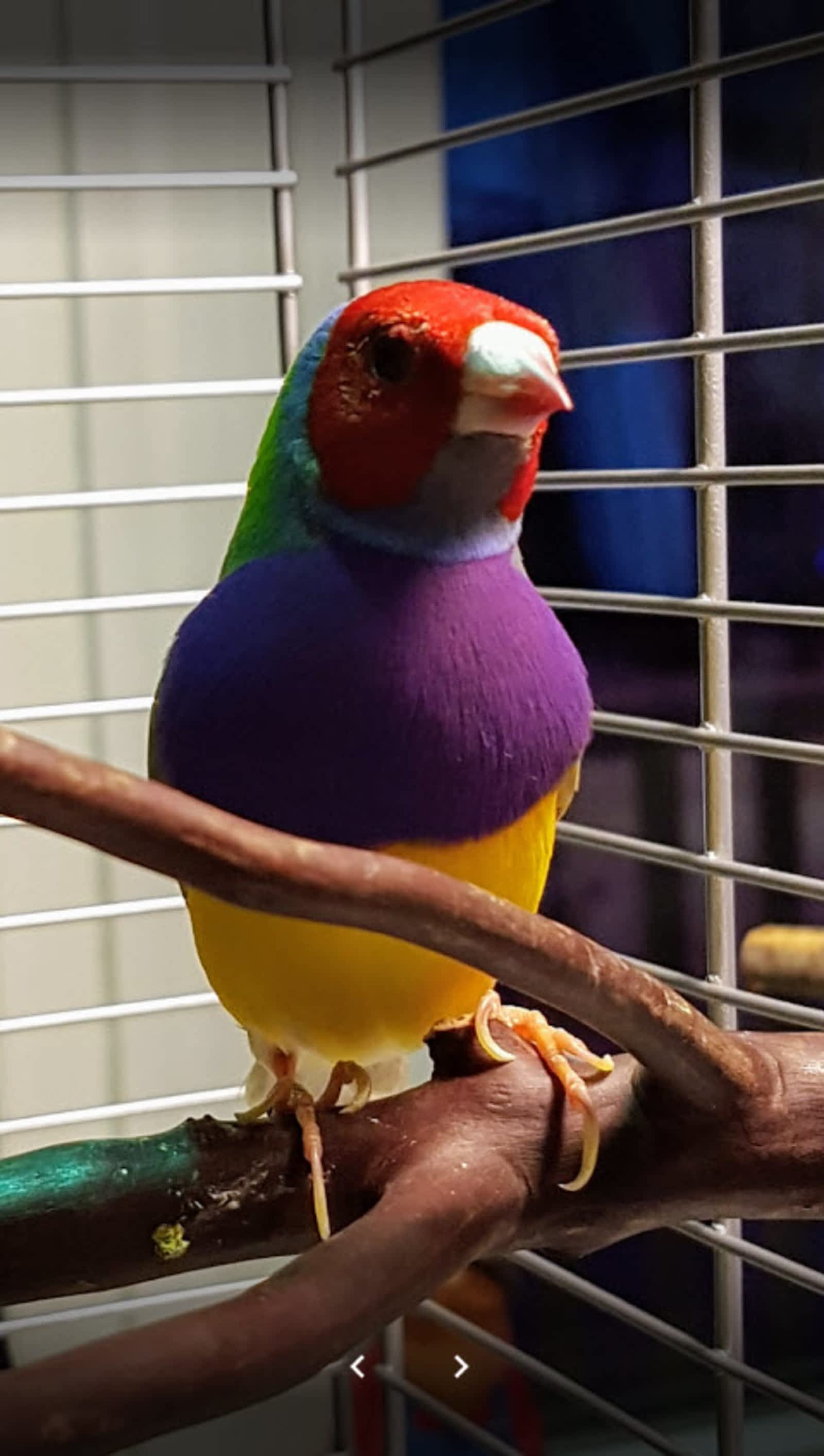 Photo credit: yellowpages.ca