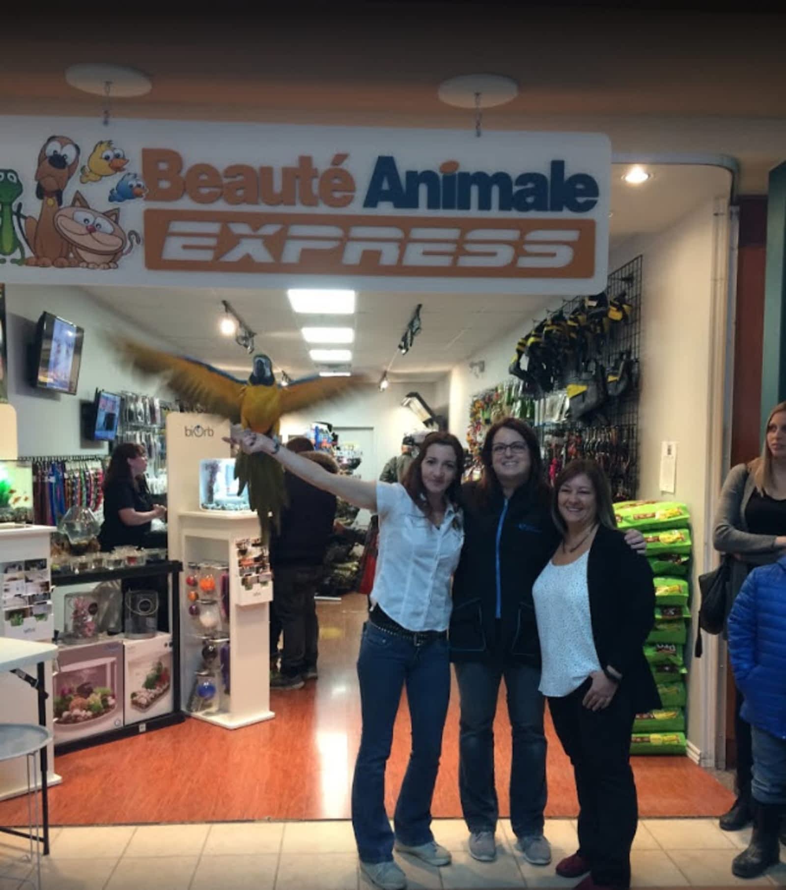 Photo credit: yellowpages.ca