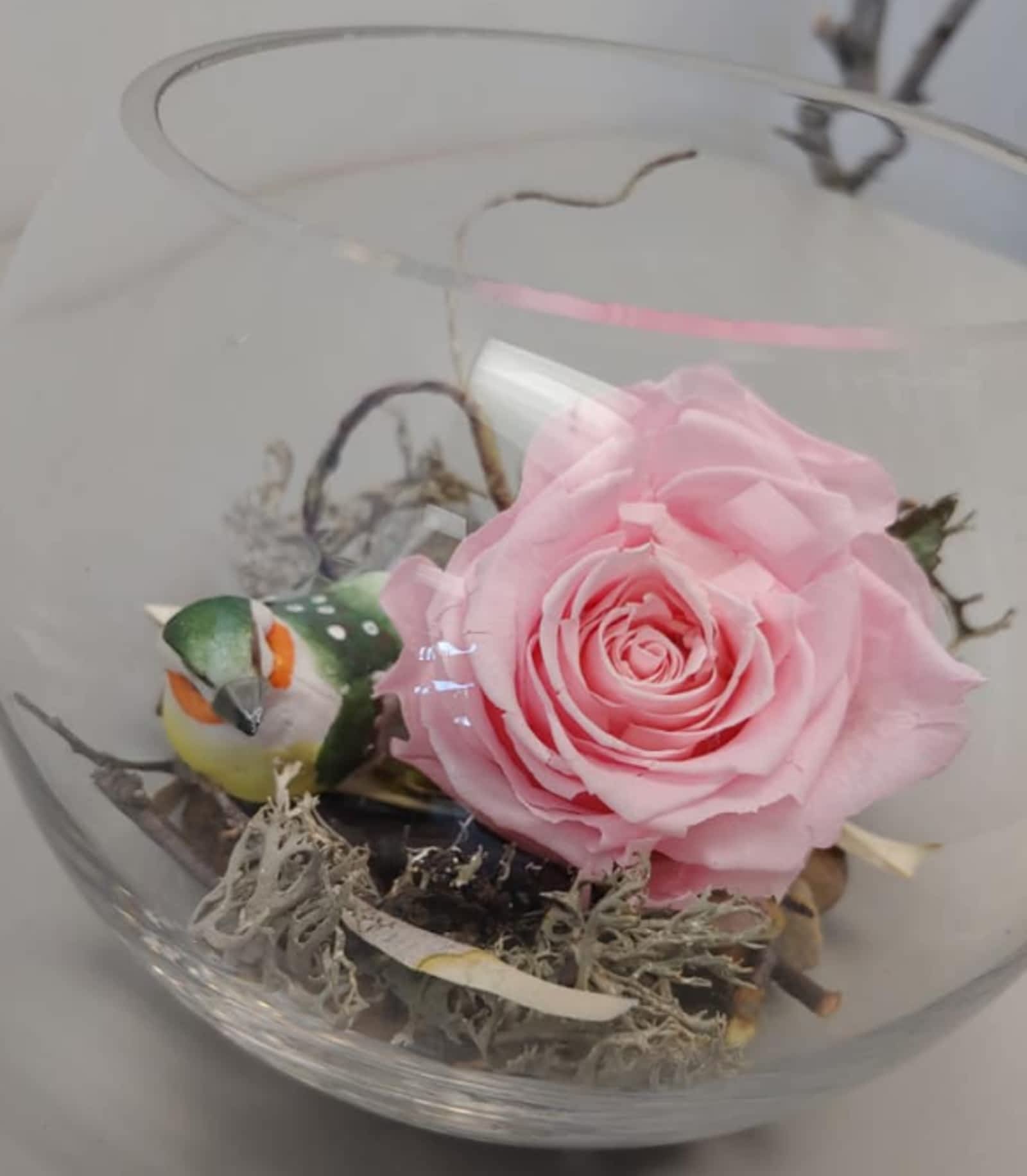 Photo credit: yellowpages.ca