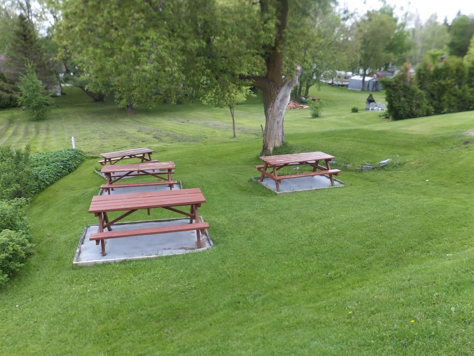 Photo credit: yellowpages.ca