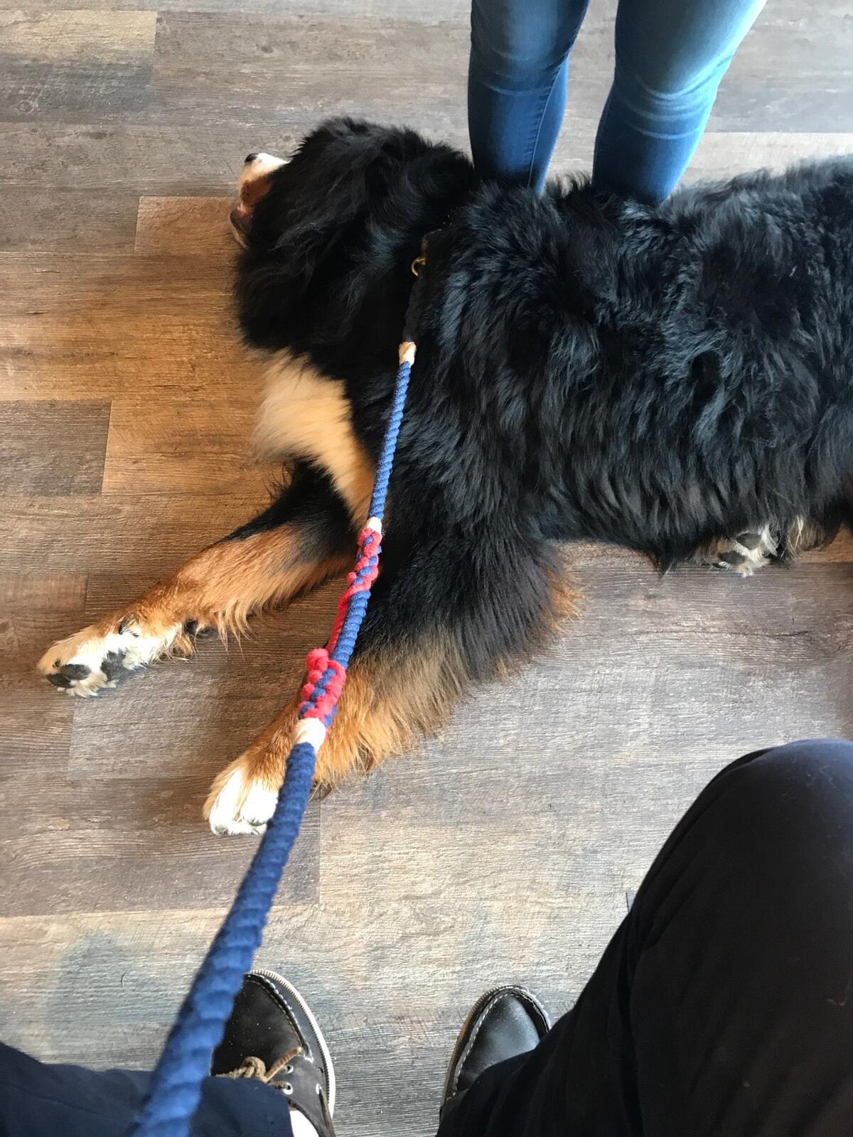 Photo credit: nextdoor