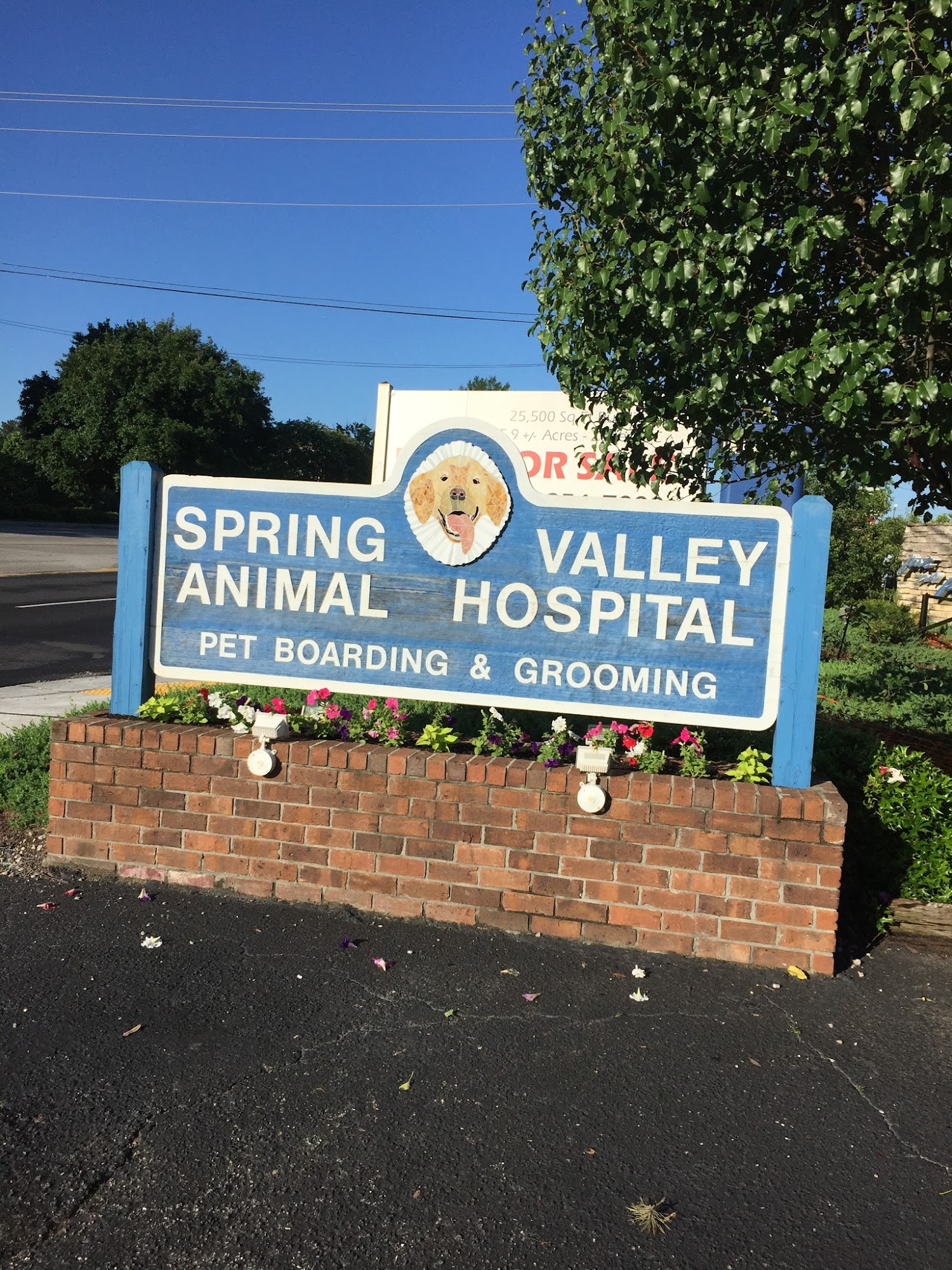 Spring Valley Animal Hospital LLC