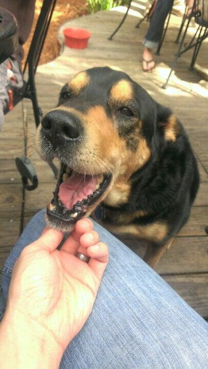 Photo credit: nextdoor