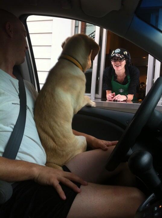 Photo credit: nextdoor