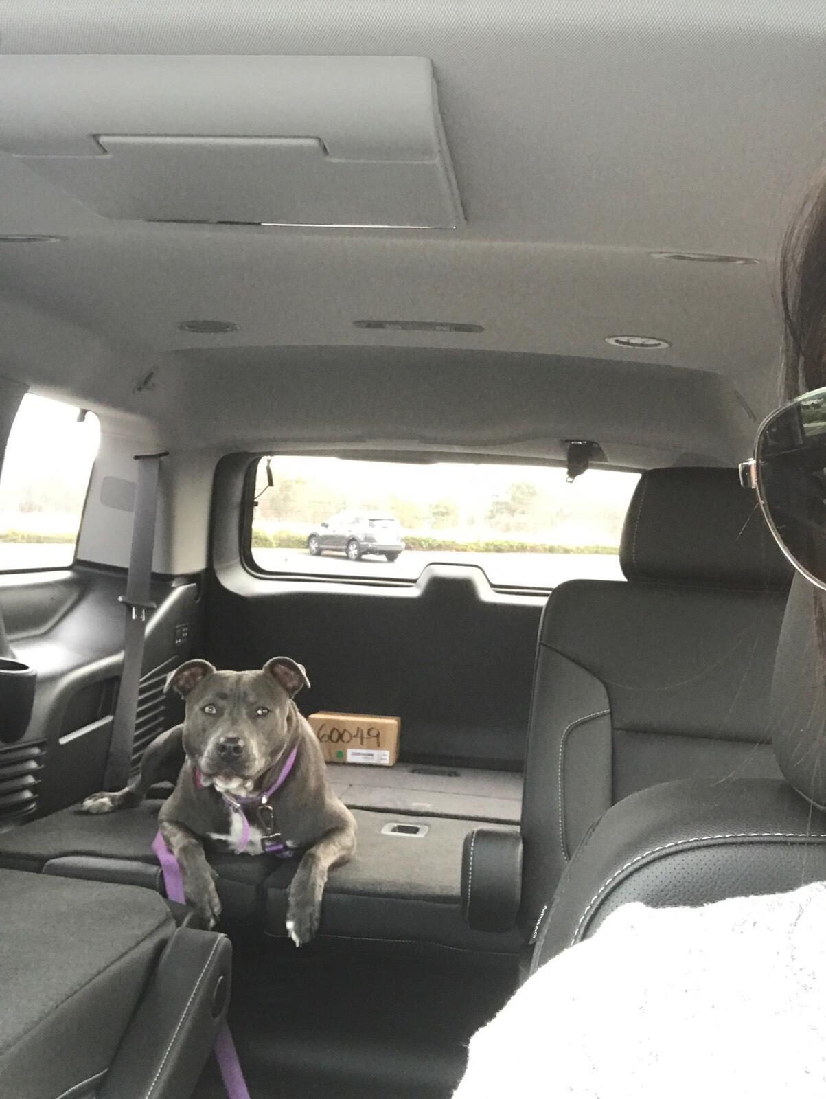 Photo credit: nextdoor