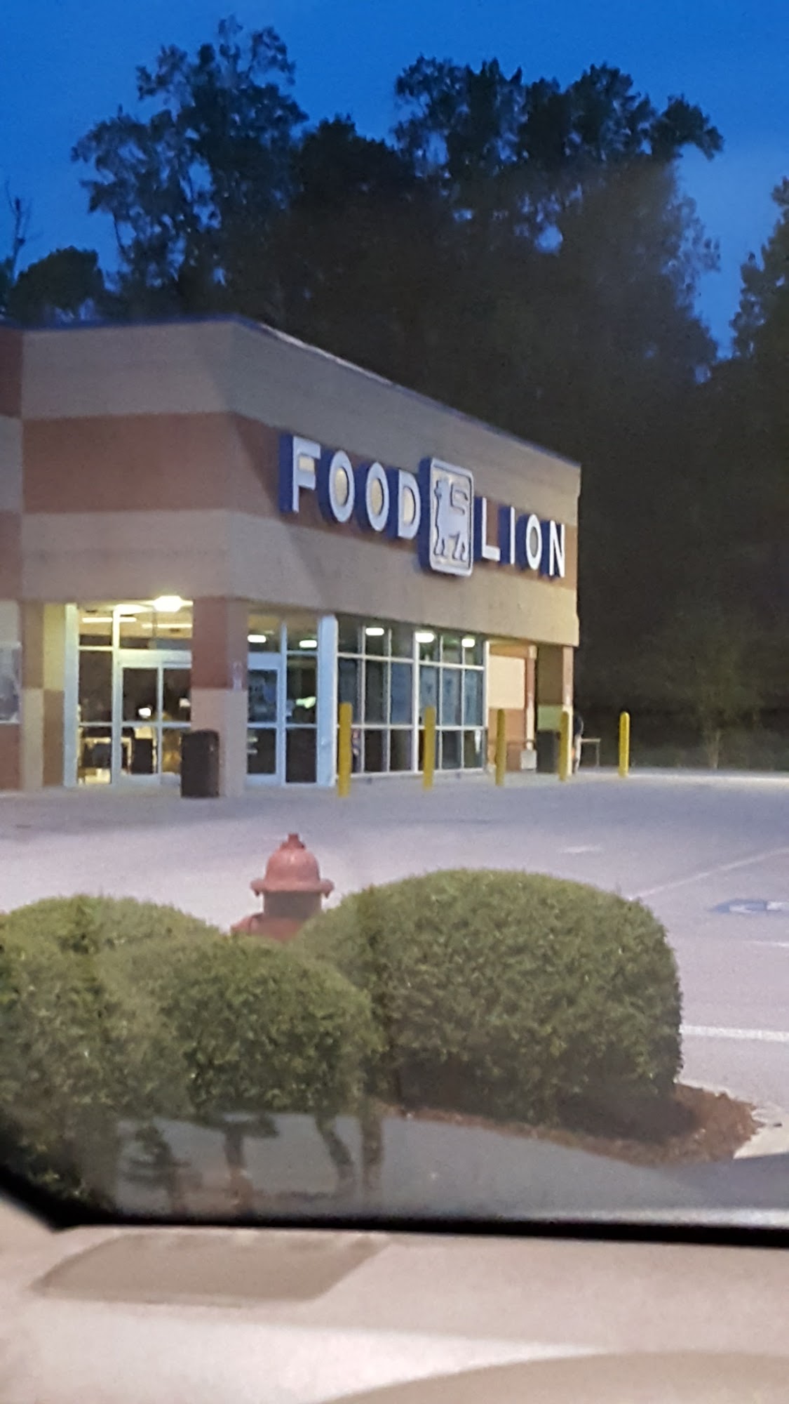 Food Lion