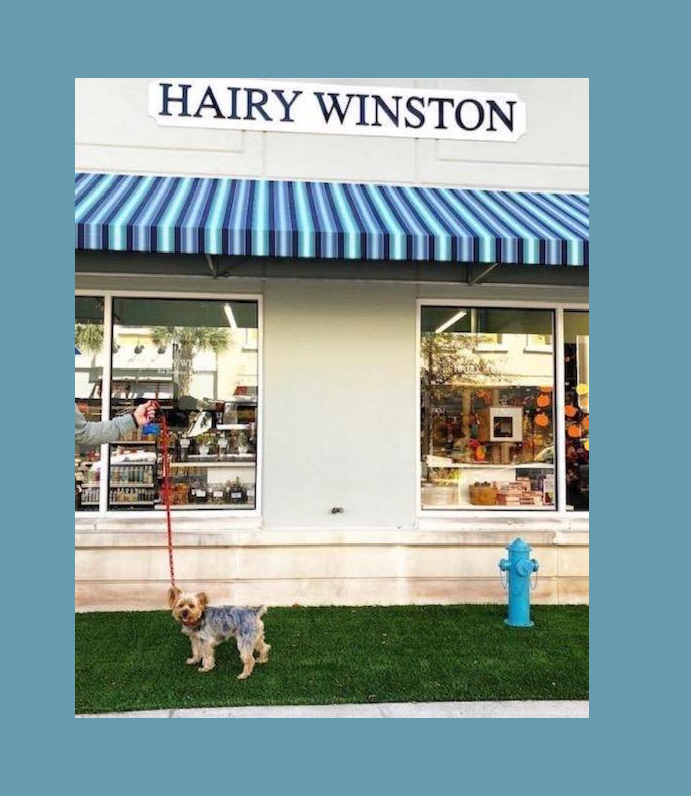 HAIRY WINSTON PET BOUTIQUE & GROCERY