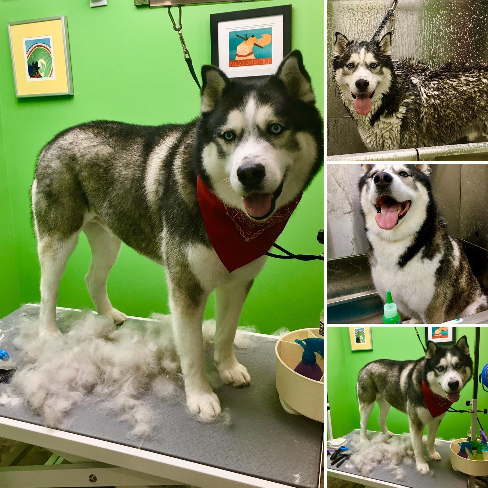 Photo credit: nextdoor