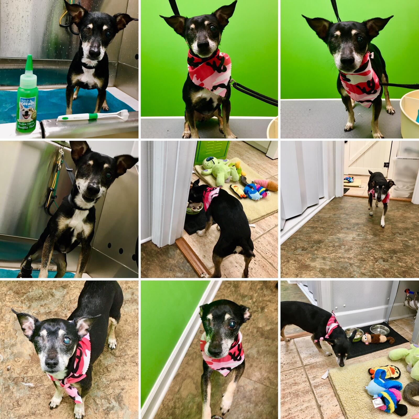 Photo credit: nextdoor