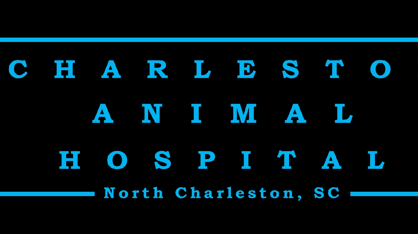 Charleston Animal Hospital