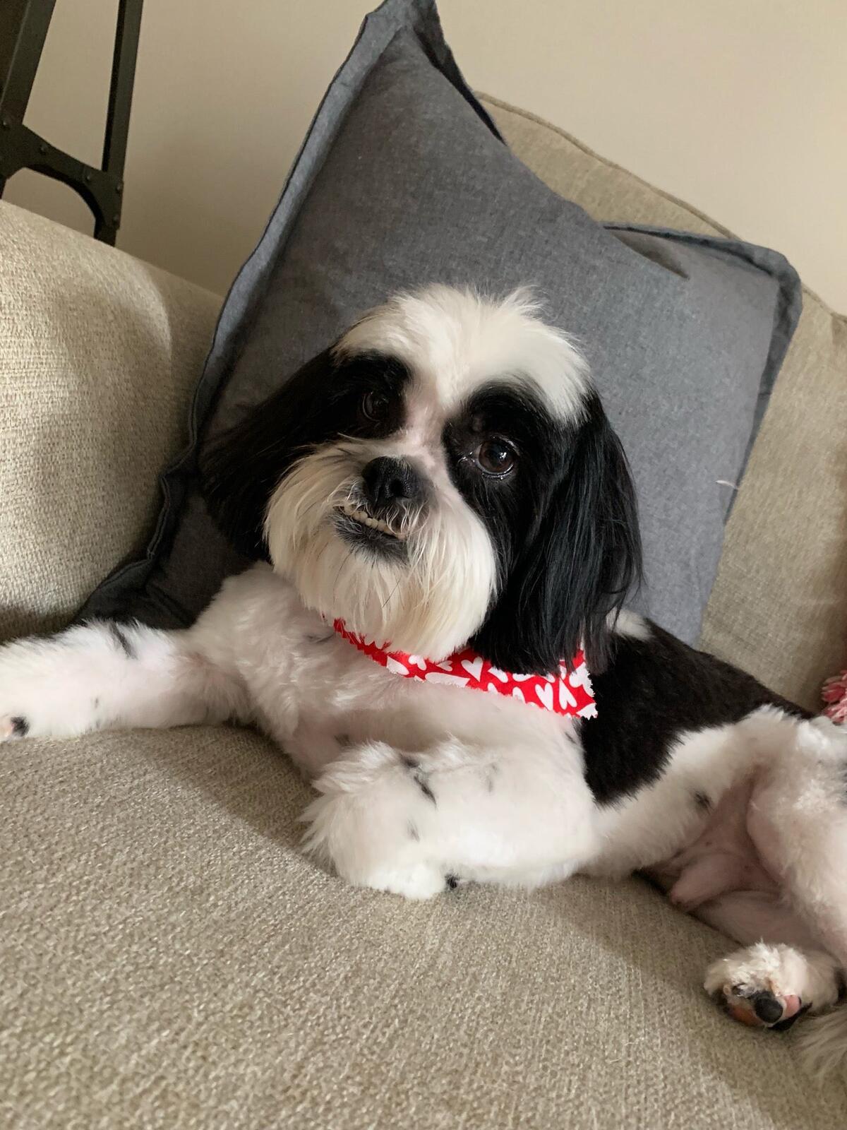 Photo credit: nextdoor