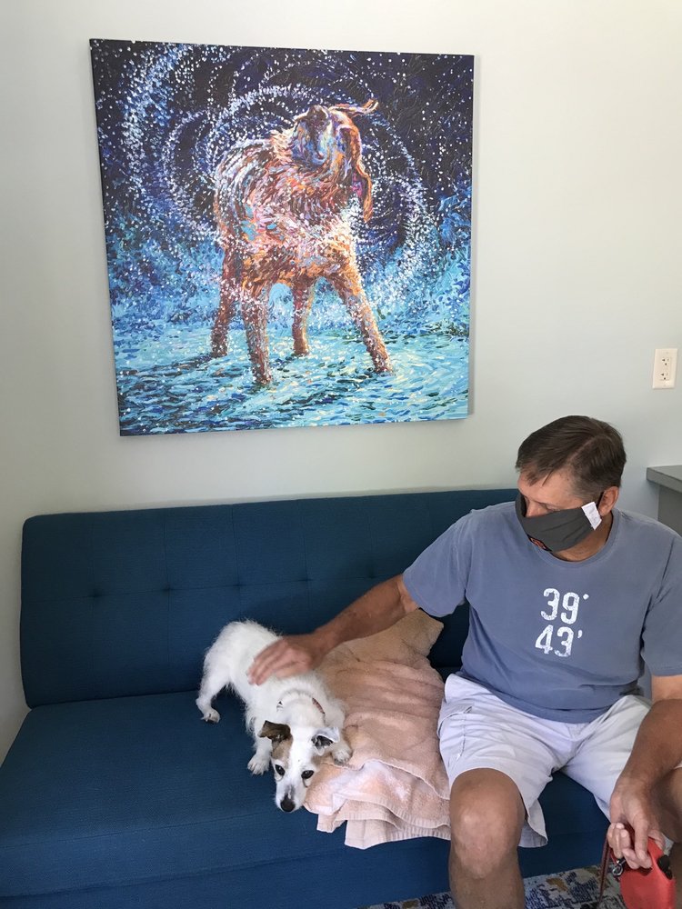 Travelers Rest Animal Hospital: McDavid Will DVM Travelers Rest