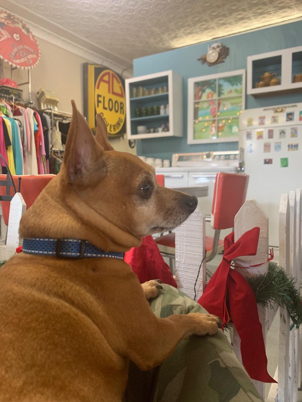 Photo credit: nextdoor