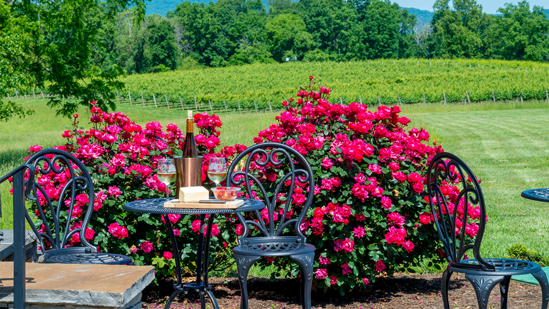 Spout Spring Estates Winery and Vineyard 430 Riddle Ln, Blaine