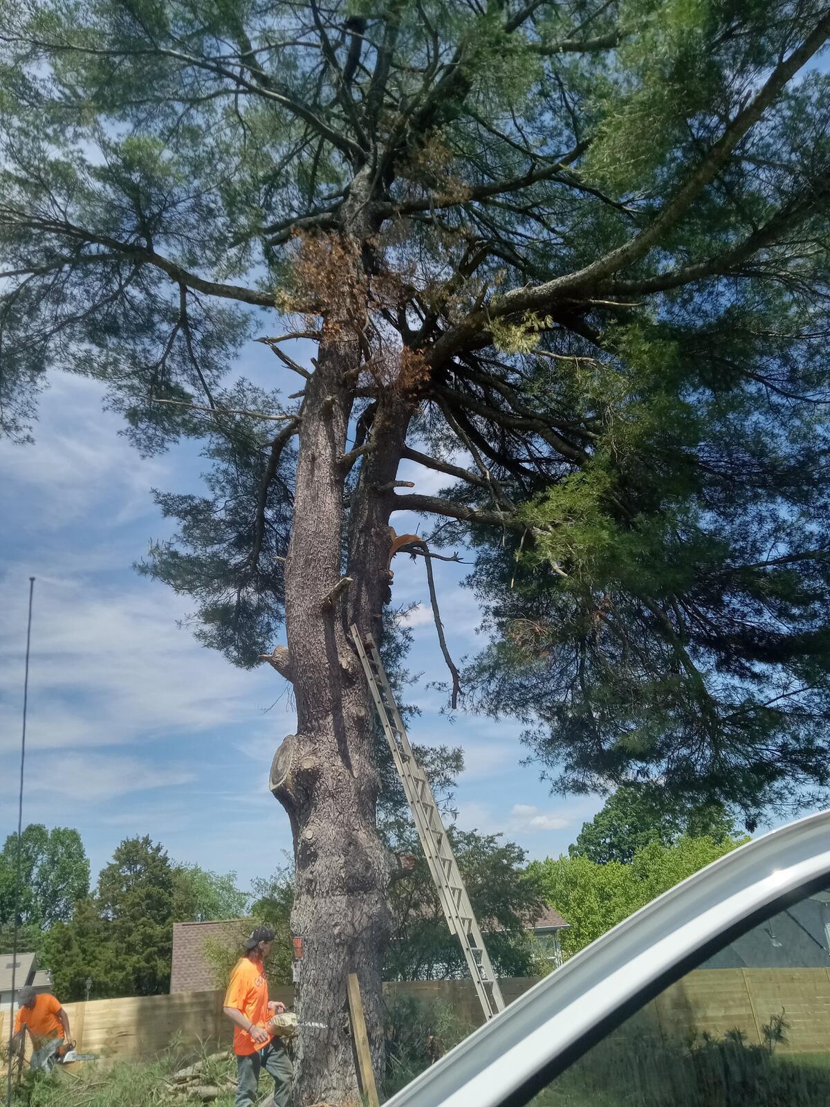 Photo credit: nextdoor