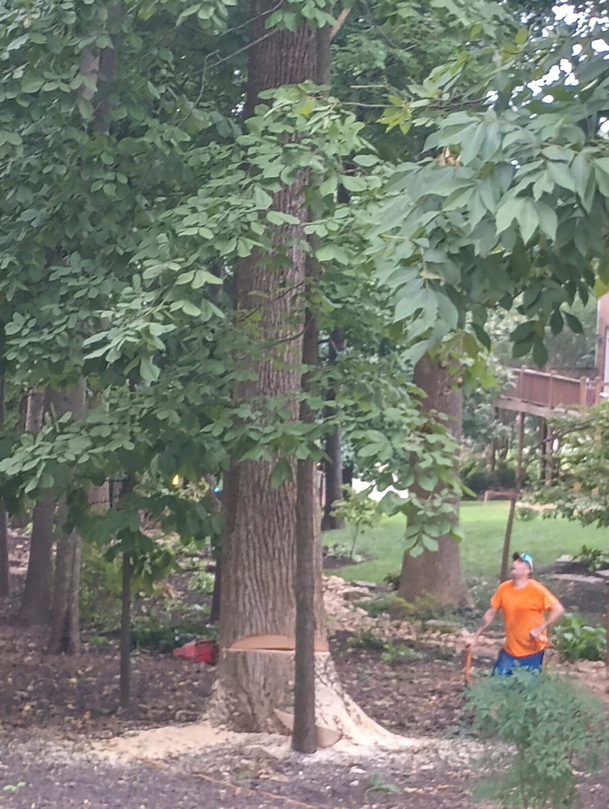 Photo credit: nextdoor