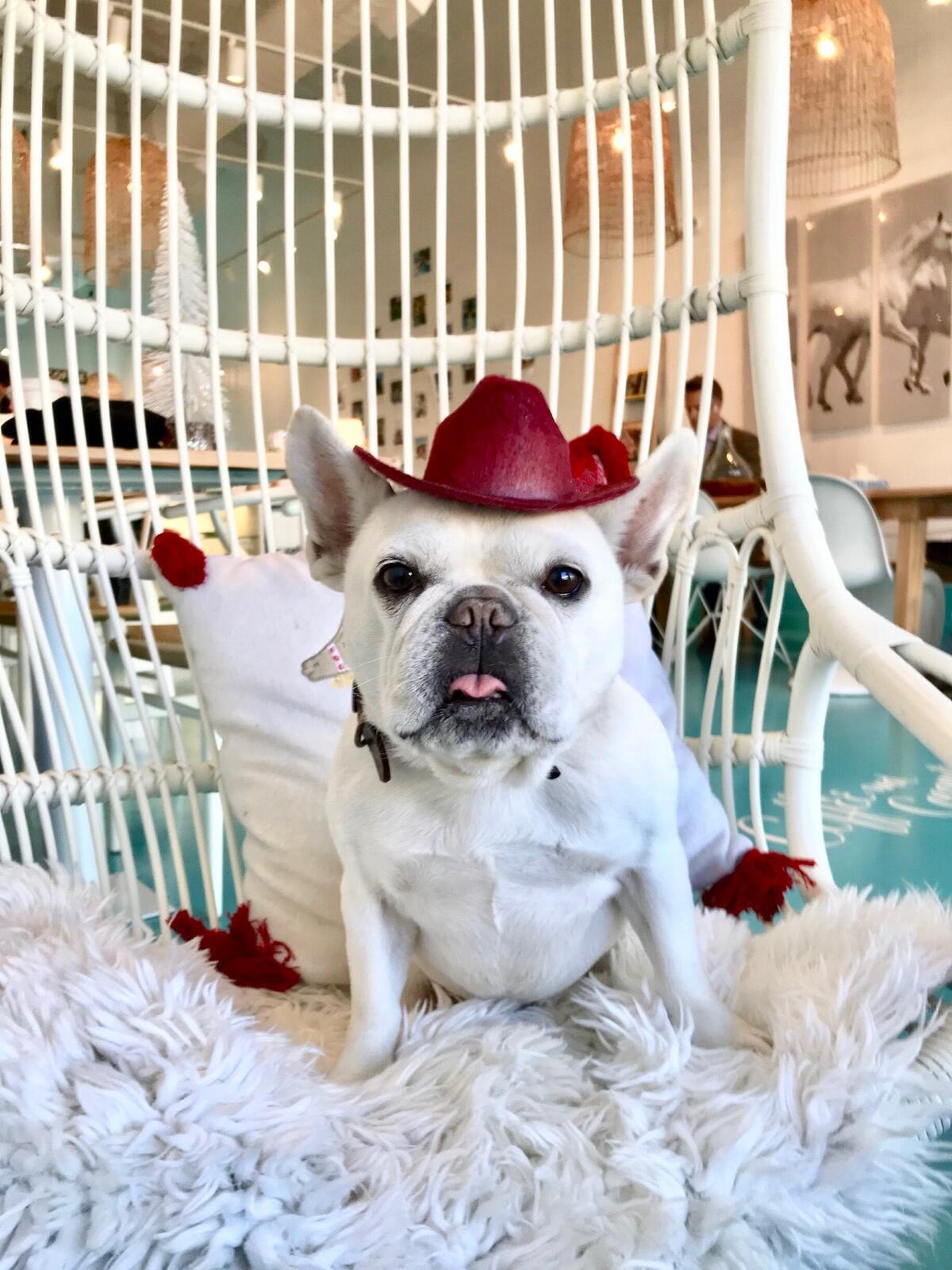 Photo credit: nextdoor