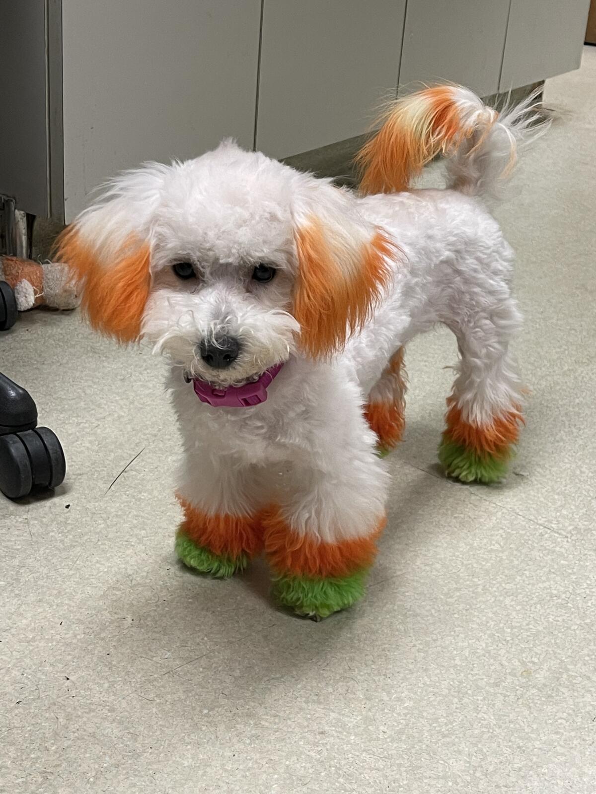 Photo credit: nextdoor