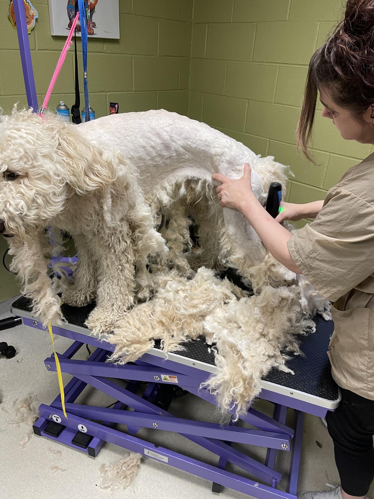 Photo credit: nextdoor