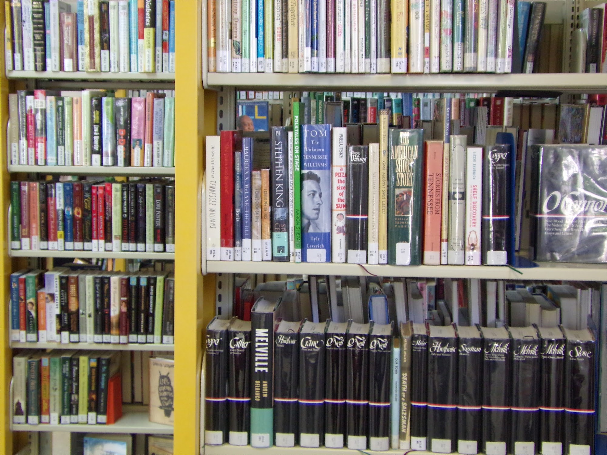 Lewis County Public Library 15 Kyle Ave, Hohenwald