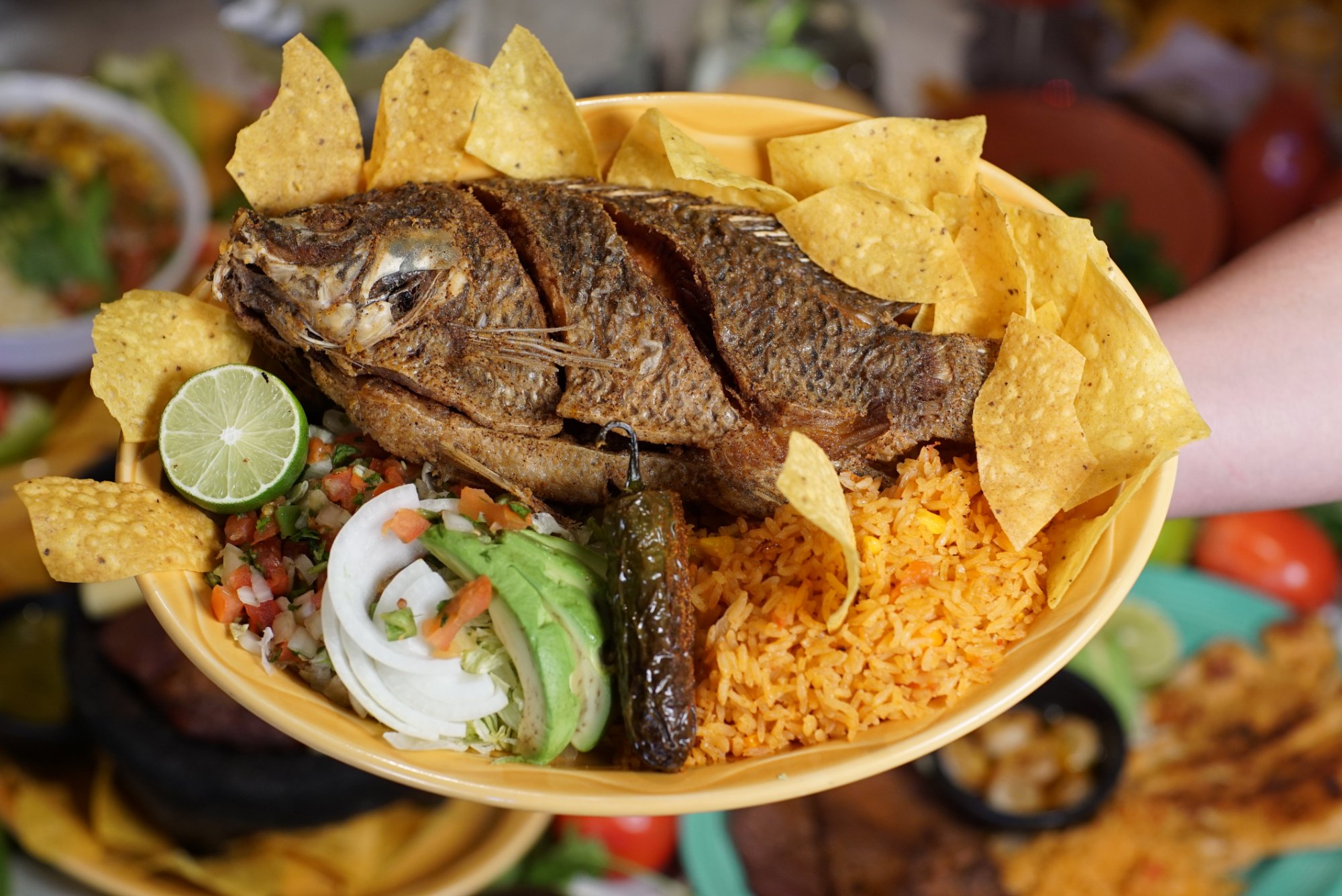Photo credit: tripadvisor