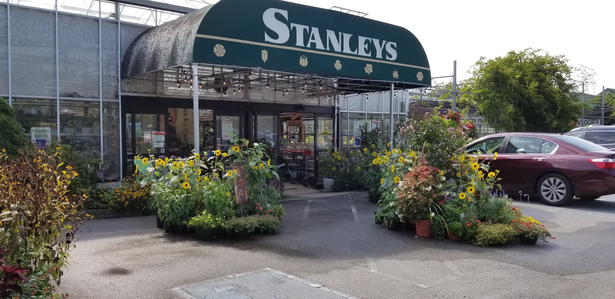 Stanley's Greenhouse