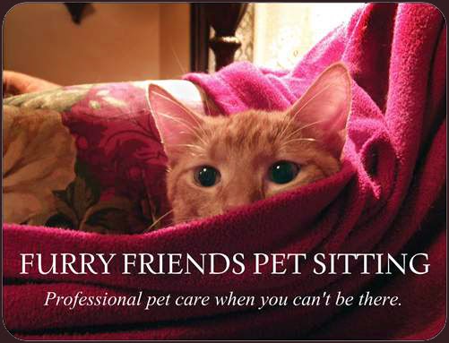Furry Friends Pet Sitting LLC